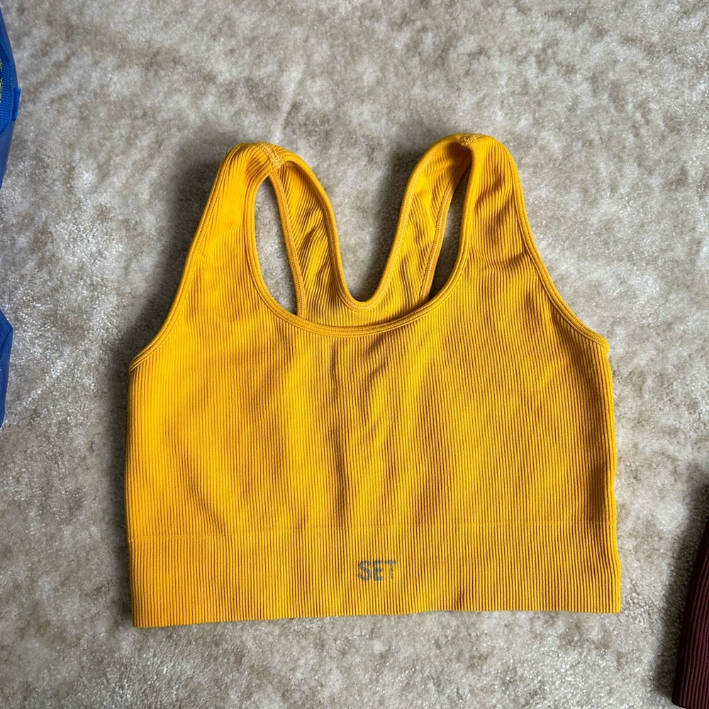 SET Active sports bra
